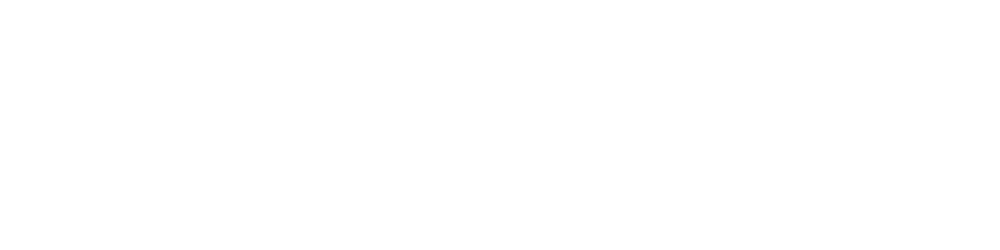 Ovisa white logo
